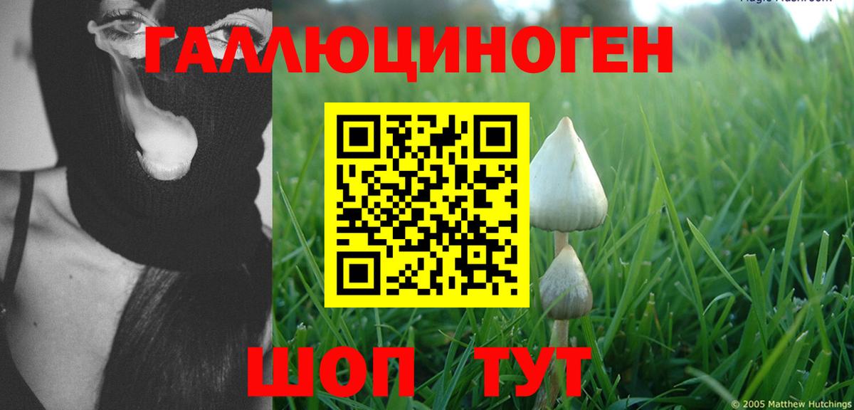 Елец  Галлюциногенные грибы мухоморы  Вход с VPN  даркнет сайт  Галлюциногенные грибы ЛСД 