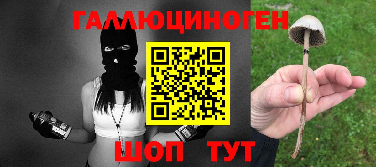 Галлюциногенные грибы ЛСД Елец